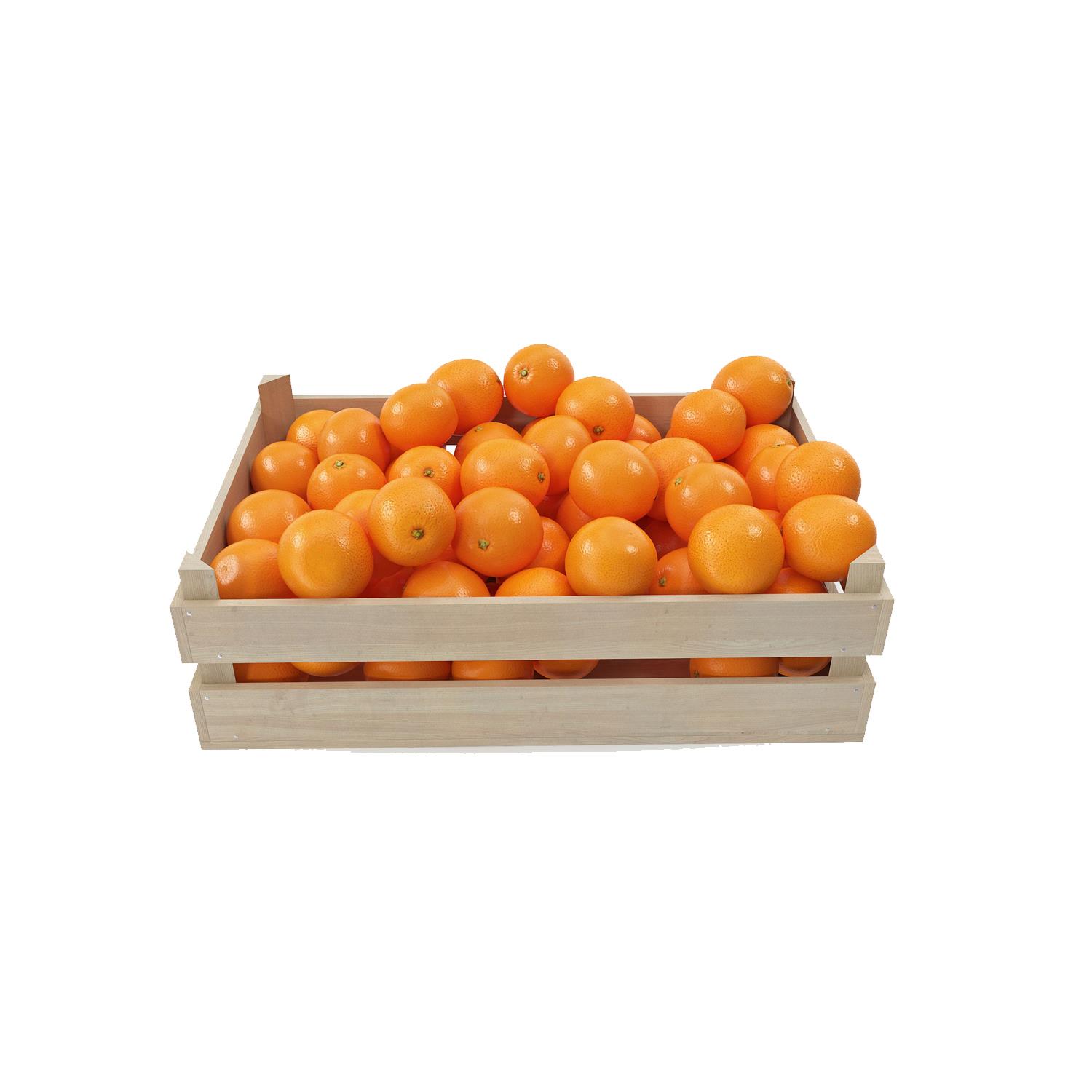 Orangen Portakal Box Orangen Portakal Box - Görsel 1